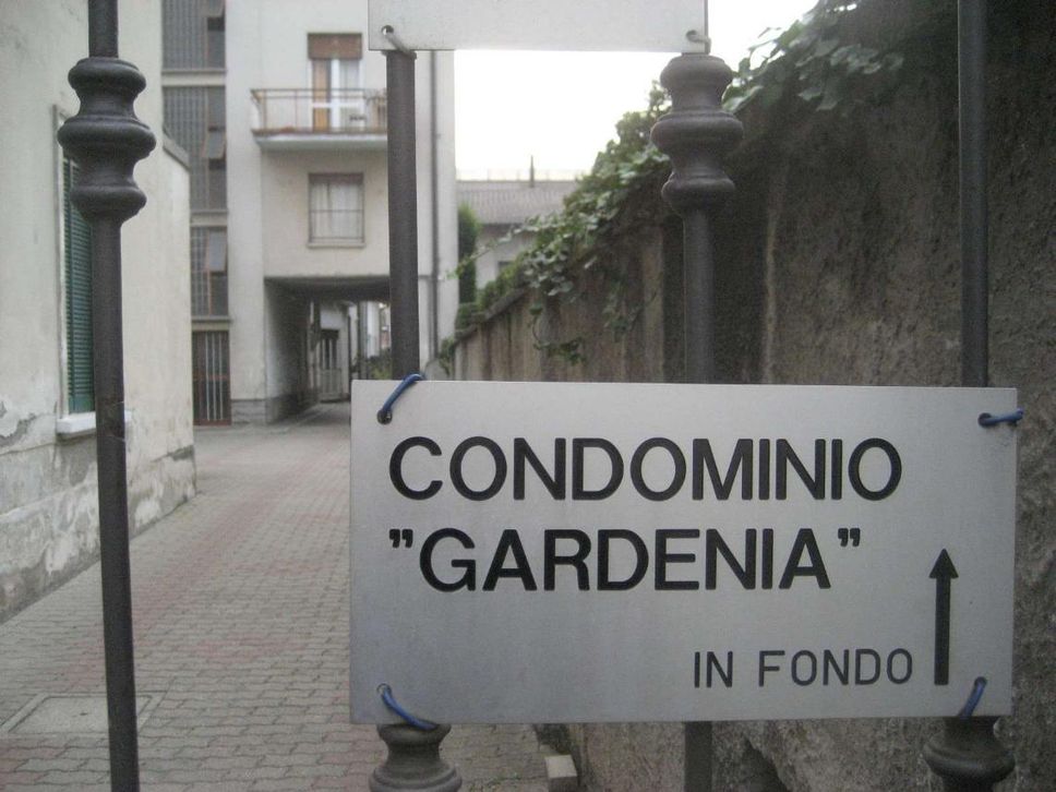 Immagine per None