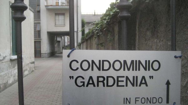 Immagine per None