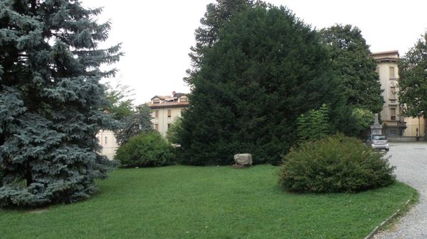Immagine per None