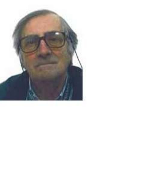 Immagine per None