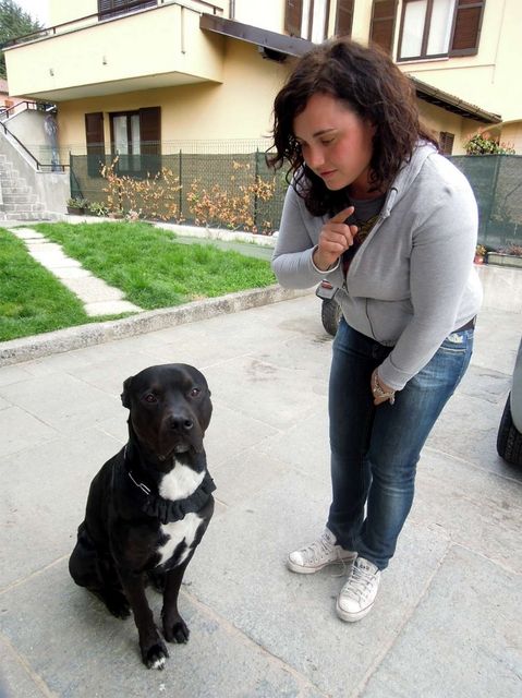 Immagine per None