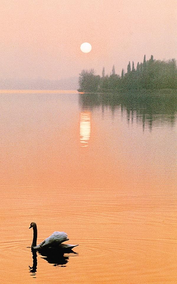 Un tramonto sul lago di Pusiano <span xml:space=