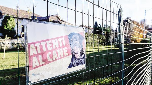 Il cartello sulla recinzione della casa: un rottweiler ha aggredito una bastardina 