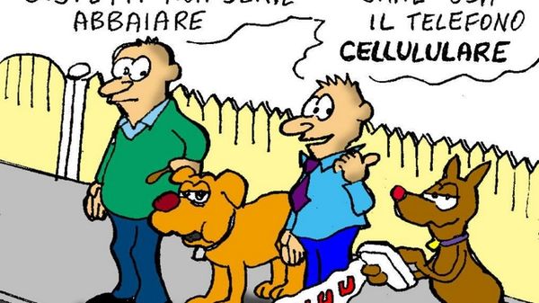 Immagine per None