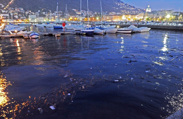 Como i detriti nel lago in una suggestiva foto notturna