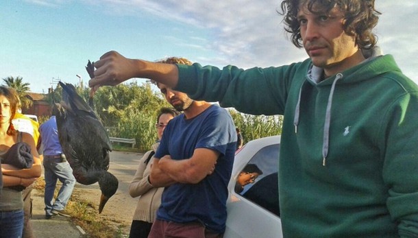 Sequestrato oleodotto a Fiumicino