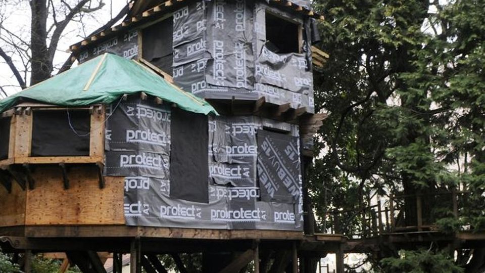 Torno, casetta abusiva sull’albero In Cassazione otto mesi a Dell’Utri Torno, casetta abusiva sull’albero In Cassazione otto mesi a Dell’Utri