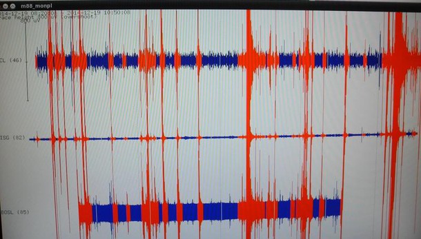Terremoto di magnitudo 3.8 ad Amatrice
