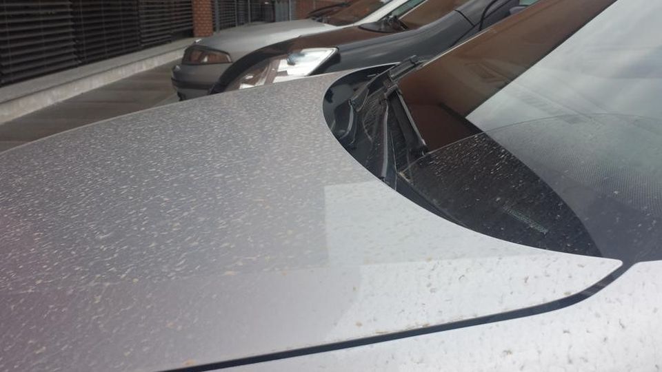 Como, piove sabbia: guardate come sono ridotte le auto Como, piove sabbia: guardate come sono ridotte le auto