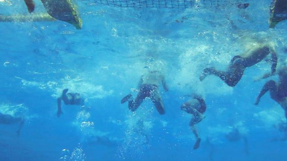 Pallanuoto Como e i baby Accordo con la Pro Recco Pallanuoto Como e i baby Accordo con la Pro Recco