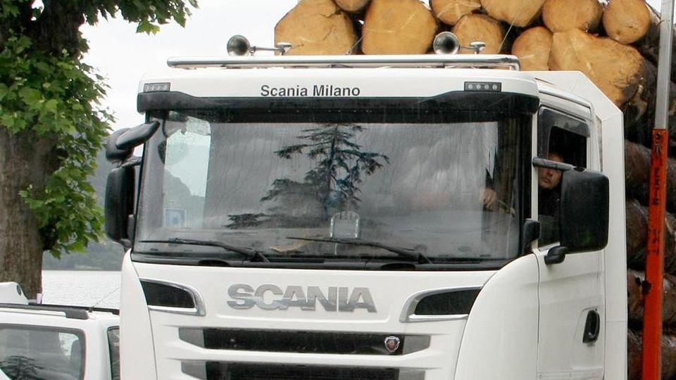 Regina, il debutto degli “osservatori” Il traffico ringrazia Regina, il debutto degli “osservatori” Il traffico ringrazia
