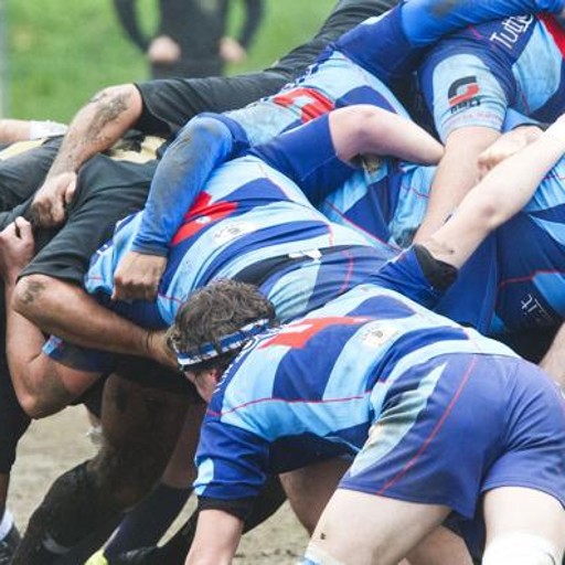 Rugby Como: esordio in casa Ospiti i novaresi del Gattico - Sport