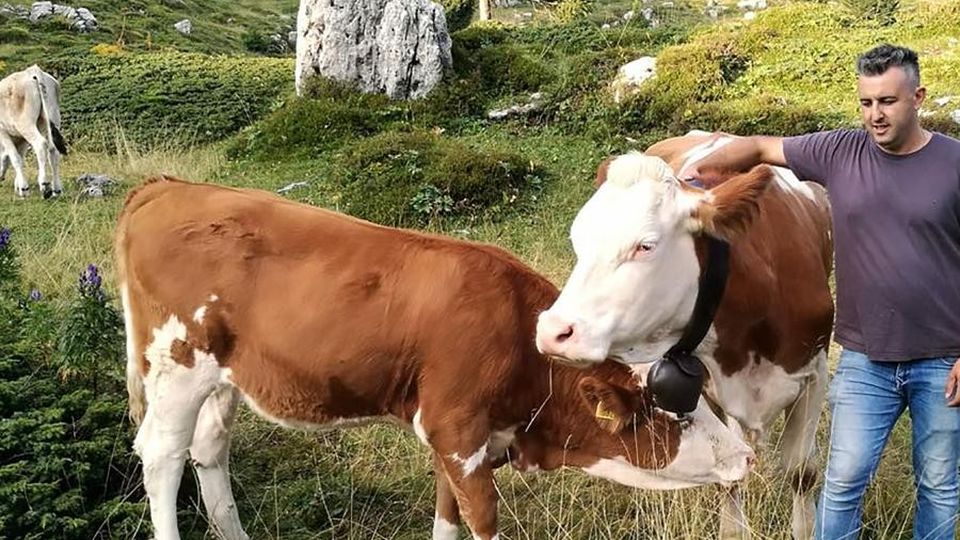 Dall’antica farmacia alla carne nostrana Asso ora vende online Dall’antica farmacia alla carne nostrana Asso ora vende online