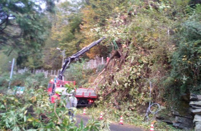 L’intervento di rimozione degli alberi dalla Lariana a Torno