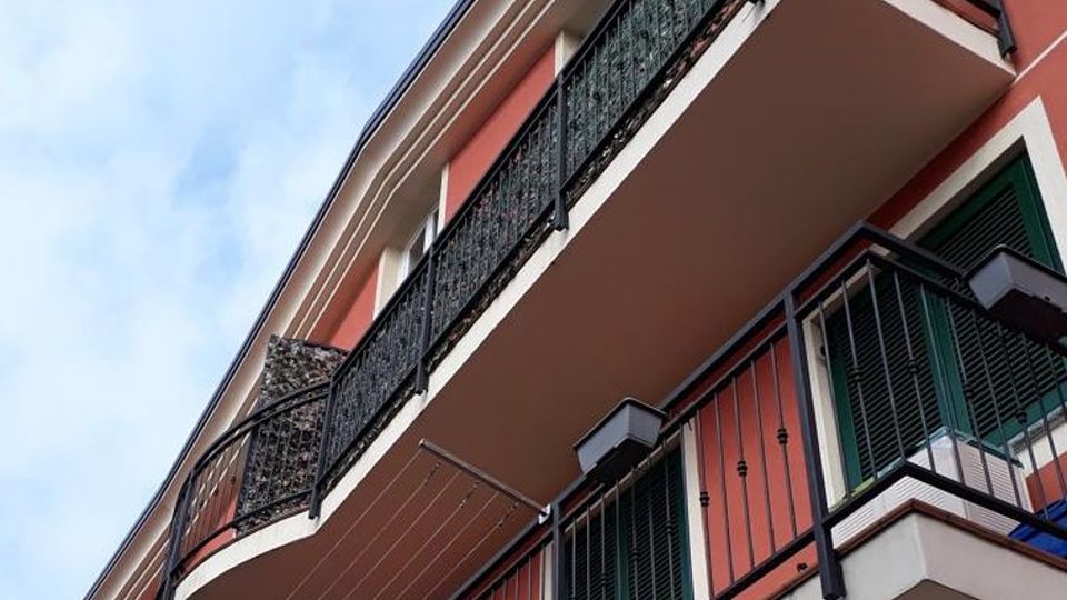 Cantù, il gatto acrobata scappa da casa Devono intervenire i pompieri Cantù, il gatto acrobata scappa da casa Devono intervenire i pompieri