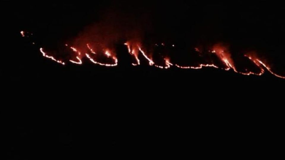 Livo e Lario, già 16 incendi dolosi «Vietate il pascolo nelle zone bruciate» Livo e Lario, già 16 incendi dolosi «Vietate il pascolo nelle zone bruciate»