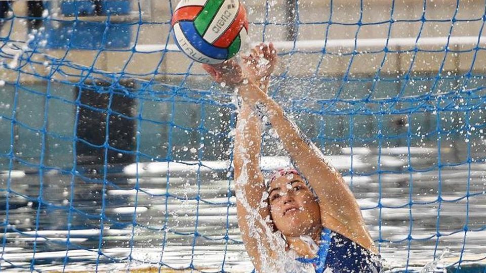 Rane Rosa a Cagliari Possono vincere il torneo Rane Rosa a Cagliari Possono vincere il torneo