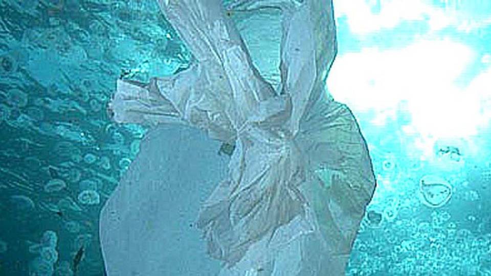 Pulire il mare grazie ai pescatori, Toscana presenta progetto a Bruxelles Pulire il mare grazie ai pescatori, Toscana presenta progetto a Bruxelles