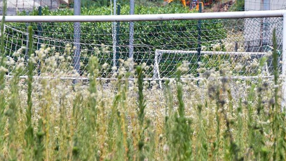 Orsenigo nella jungla «Vogliamo tornare lì» Orsenigo nella jungla «Vogliamo tornare lì»