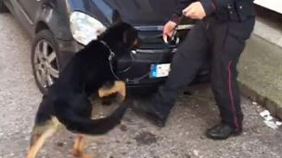 Arrestato per spaccio di droga Nuova ordinanza in carcere Arrestato per spaccio di droga Nuova ordinanza in carcere