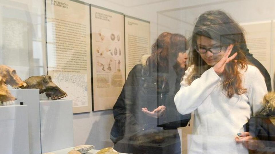 Gli studenti vogliono visitare il museo Como, ma il Comune glielo vieta Gli studenti vogliono visitare il museo Como, ma il Comune glielo vieta