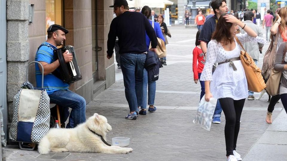 Artisti di strada, l’ultima del Comune Una giuria valuterà il loro talento Artisti di strada, l’ultima del Comune Una giuria valuterà il loro talento