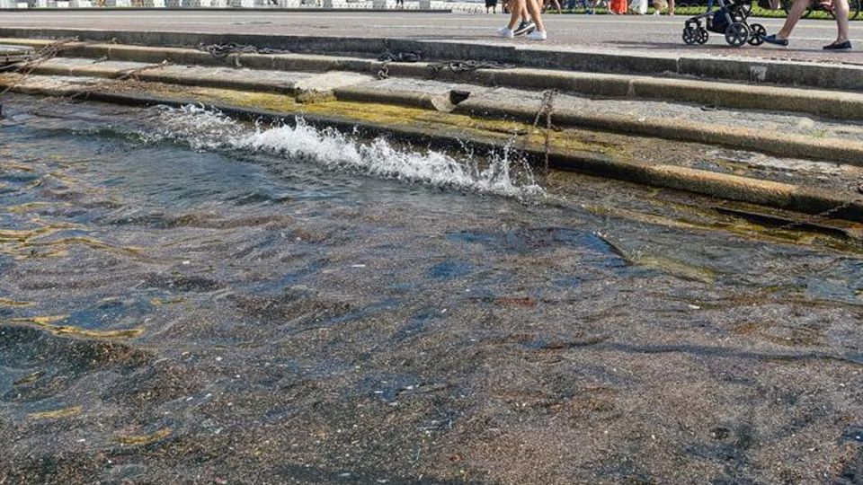 Il lago è sempre più sporco Una vergogna per Como Il lago è sempre più sporco Una vergogna per Como