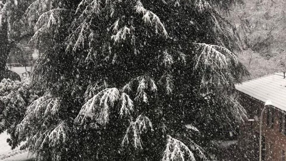 Nevica su tutta la provincia Più colpita Bassa e Olgiatese Nevica su tutta la provincia Più colpita Bassa e Olgiatese