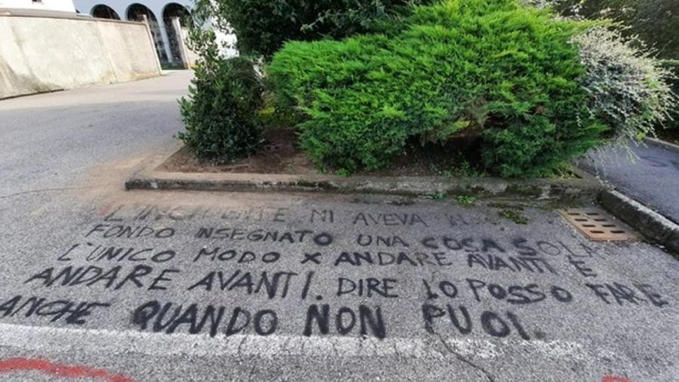 Un agrifoglio per ricordare Simon Piantato dagli amici del giovane morto Un agrifoglio per ricordare Simon Piantato dagli amici del giovane morto