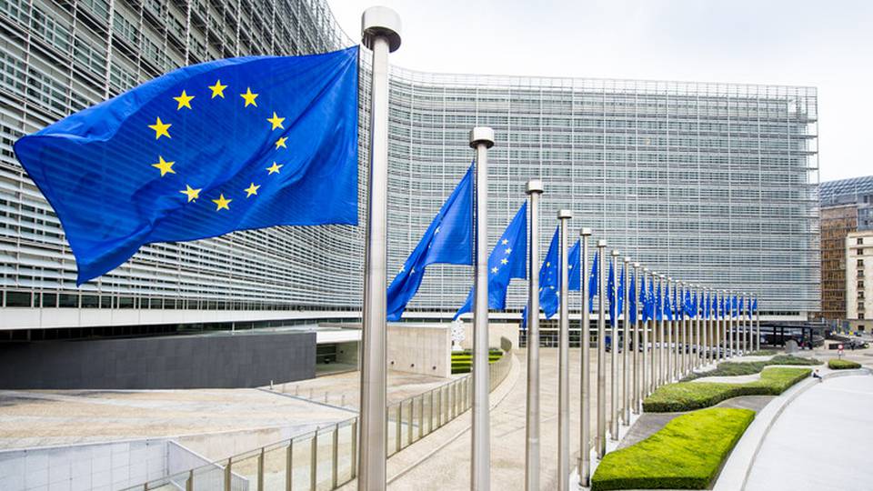 Tlc: Ue segue sviluppi rete unica, ma scenari ipotetici Tlc: Ue segue sviluppi rete unica, ma scenari ipotetici