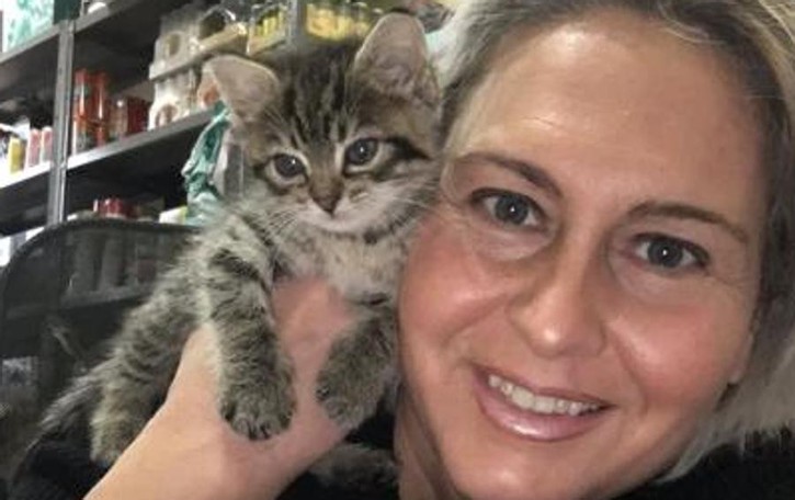 Bassa, allarme gatti abbandonati «In lockdown tantissime adozioni e adesso li lasciano in strada»