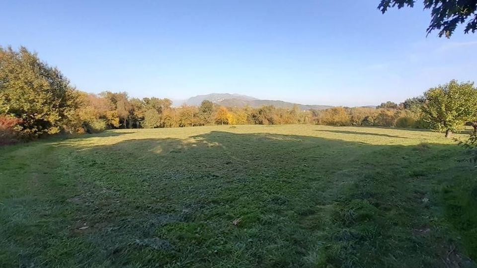 «Montano, sono stato sfiorato da uno sparo dei cacciatori» «Montano, sono stato sfiorato da uno sparo dei cacciatori»