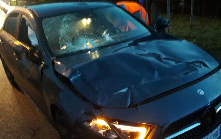 Spunta dal bosco e centra un’auto Conducente illeso, morto il cervo