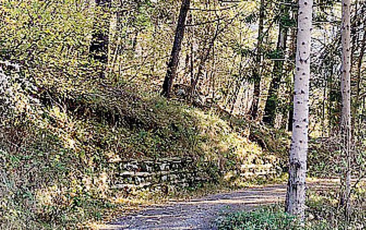 Il mistero delle auto nella notte Un viavai nelle strade montane