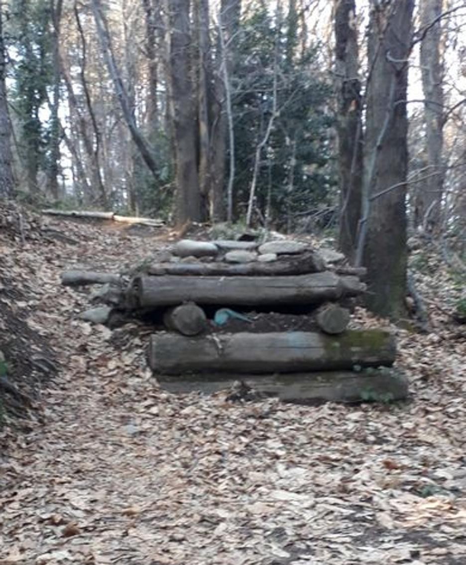 Troppi spericolati in mountain bike Un guardiaparco nella Spina Verde -  Cronaca, Cavallasca