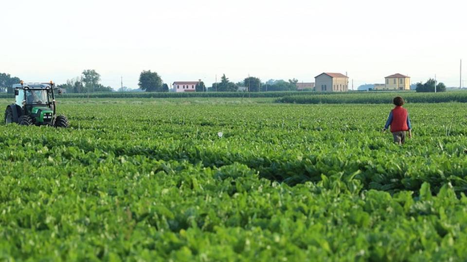 In Sicilia, Sibeg sempre più green In Sicilia, Sibeg sempre più green