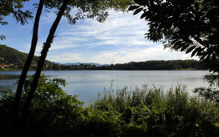 Montorfano, piano per far respirare il lago Taglio del canneto e nuove piante