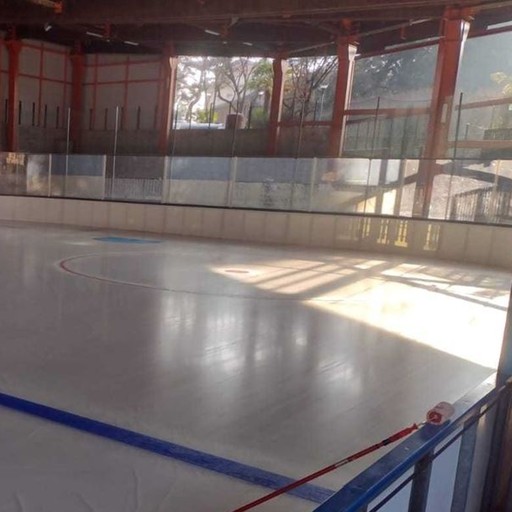 Il palaghiaccio di Casate riapre al pubblico