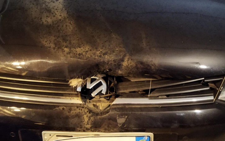 Olgiatese, auto “cavalcata” da un cervo «Che paura, è saltato sul cofano»