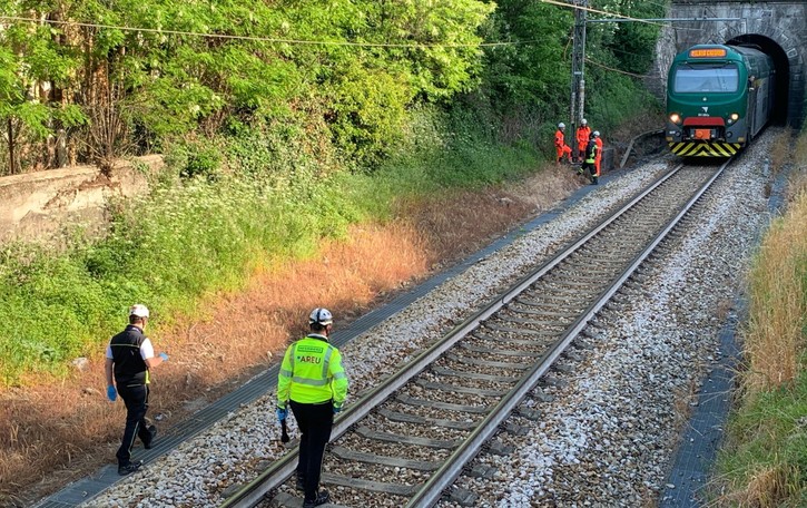 Ponte Lambro, capriolo travolto dal treno Ripresa la circolazione sulla Milano-Asso