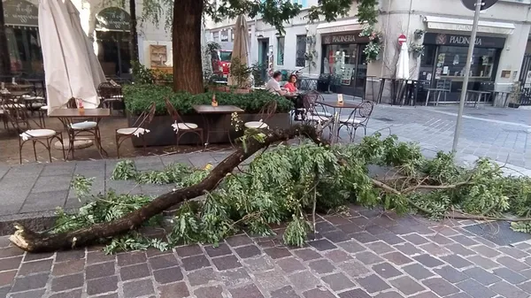 Il ramo caduto vicino ai tavolini del bar all’incrocio tra via Giovio e via Carducci