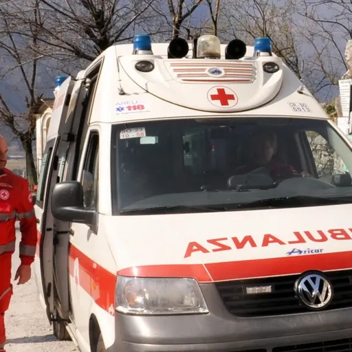 Used Lincoln Continental for Sale Near Me visual data 8