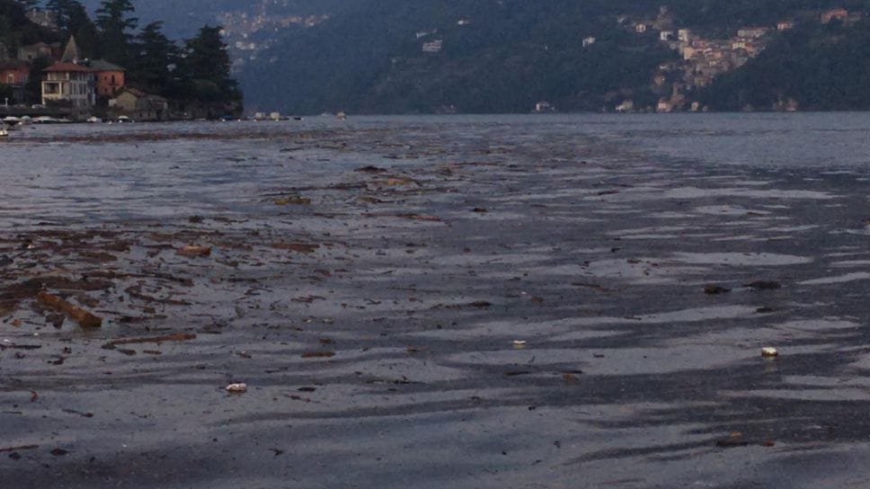Ecco come si presentava ieri il lago nel Basso Lario: una distesa di detriti e legname post alluvione