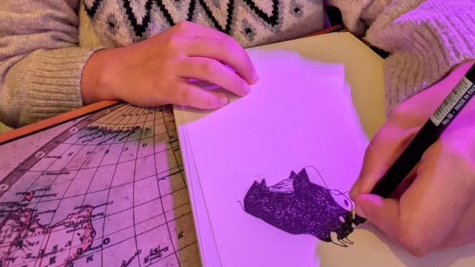 Ester Pezzetta, 24 anni: il disegno è stato sempre un suo grande hobby Ester Pezzetta, 24 anni: il disegno è stato sempre un suo grande hobby