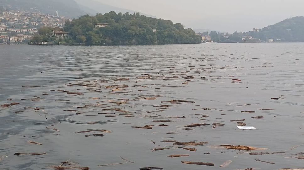 Rami e detriti tra Sala Comacina e il canale dell’Isola Rami e detriti tra Sala Comacina e il canale dell’Isola