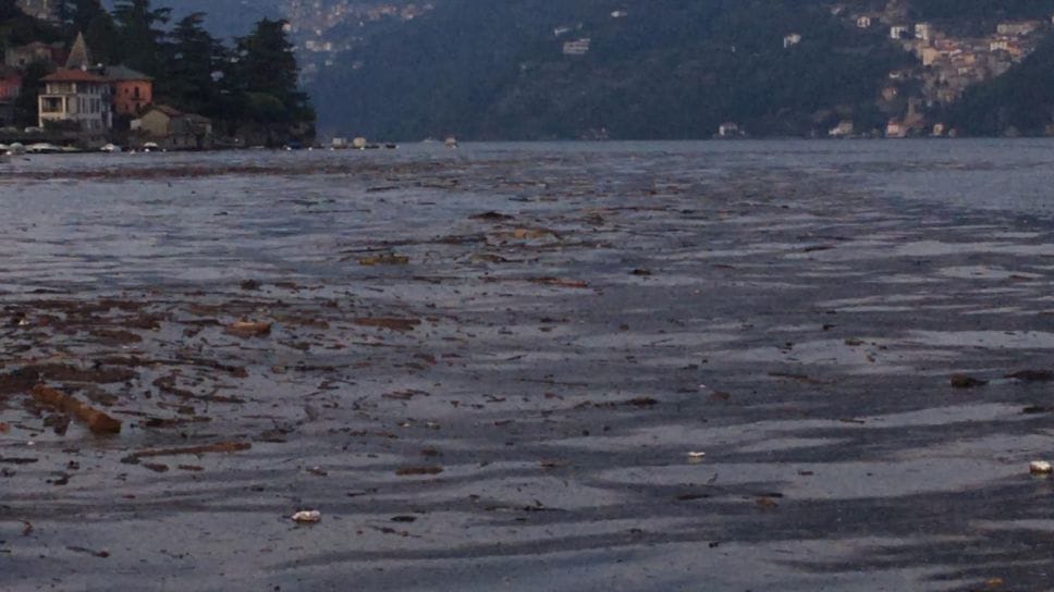 I tronchi nel lago costituiscono un serio problema soprattutto per i mezzi veloci della Navigazione