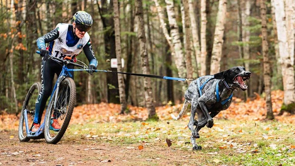 Denis Brenna e Kayo durante una competizione Denis Brenna e Kayo durante una competizione