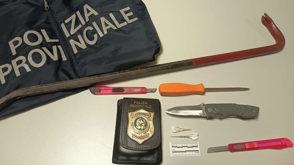 Gli attrezzi sequestrati nei boschi di Cirimido Gli attrezzi sequestrati nei boschi di Cirimido