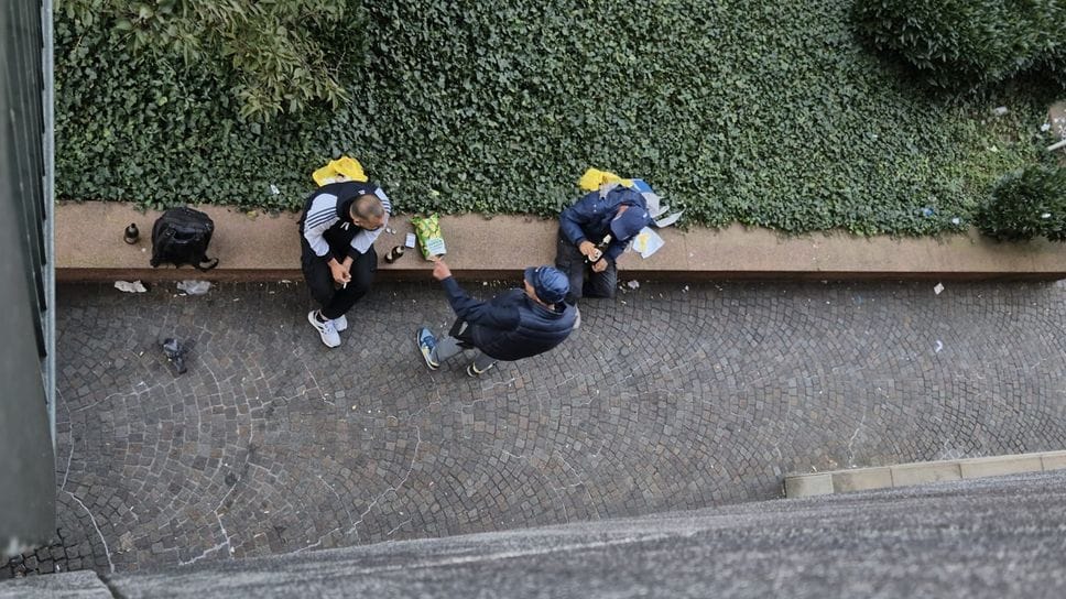 Alcuni degli ospiti “stanziali” dell’area più prossima al “Dadone” Alcuni degli ospiti “stanziali” dell’area più prossima al “Dadone”
