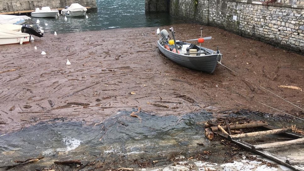 Ecco come si presenta il molo di Laglio, invaso dal legname portato dal primo bacino dalla Breva